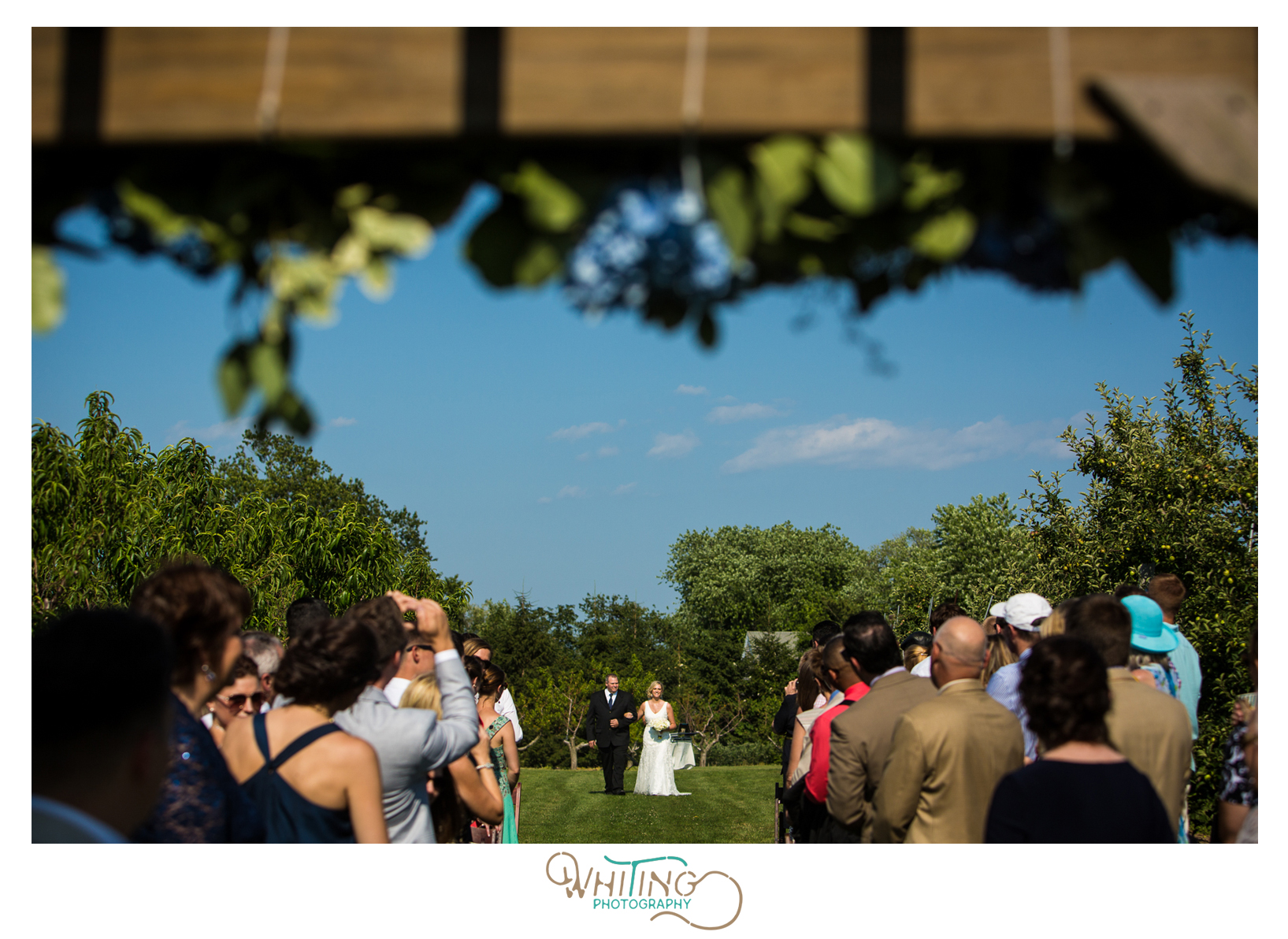 Sweet Berry Farm outdoor apple orchard wedding ceremony | Whiting Photographer | Rhode Island Wedding Photographer