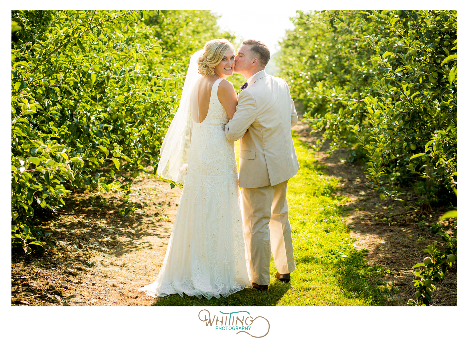 Sweet Berry Farm apple orchard | Whiting Photographer | Rhode Island Wedding Photographer