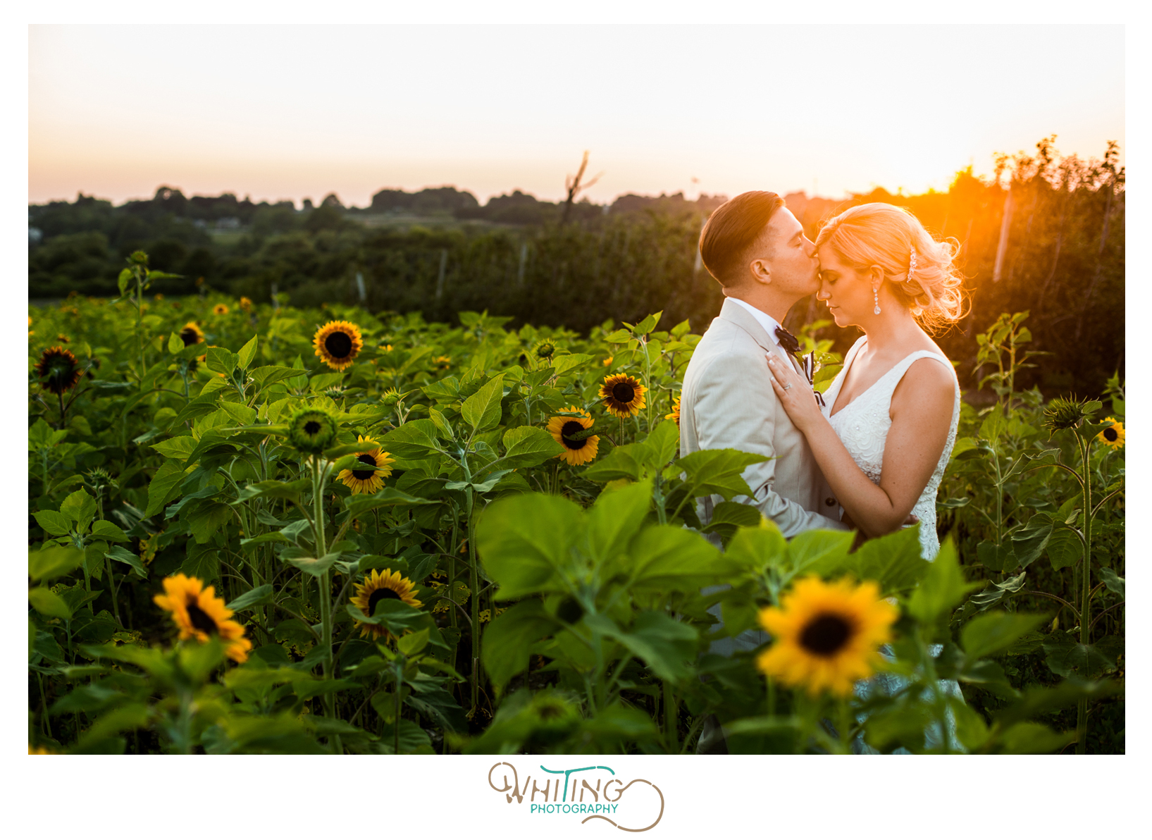 Sunset wedding photos in sunflower field | Whiting Photographer | Rhode Island Wedding Photographer