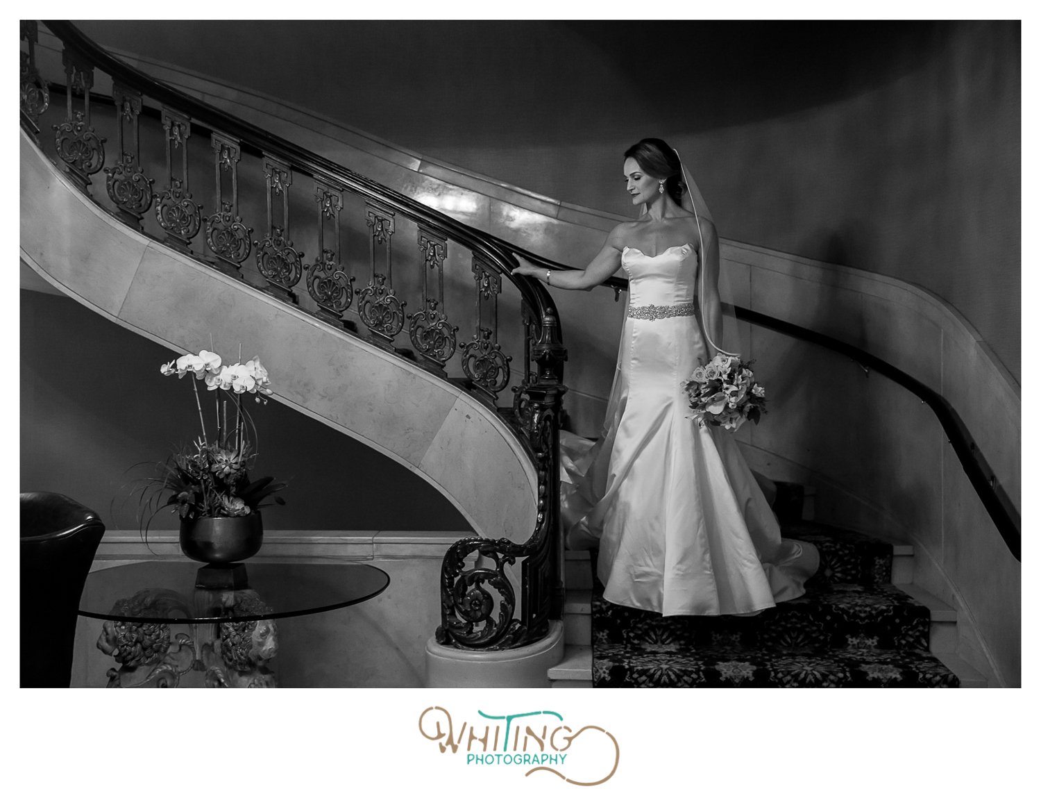 Bride in black and white at Fairmont Copley Plaza