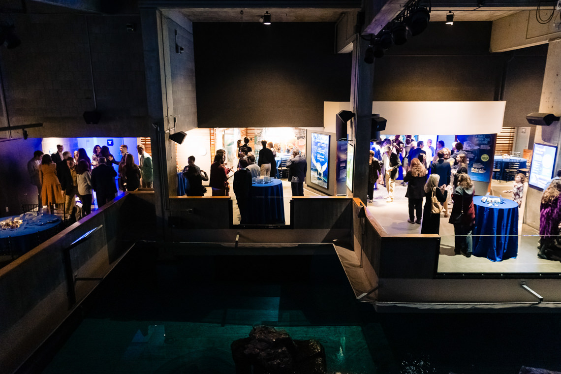 New England Aquarium Welcome Party