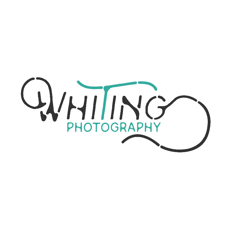 Whiting Photography | Boston Wedding Photographer